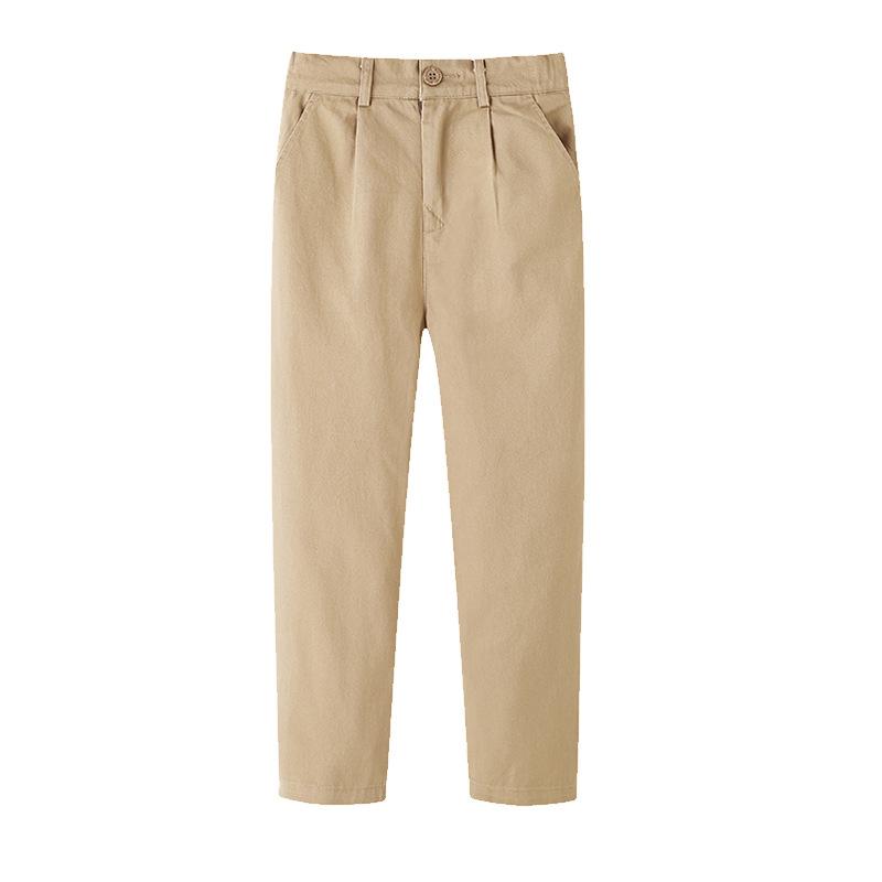 Mens Easy-Care Stretch Chinos, Classic Fit, Straight Leg  |  Pants Clothing Mens